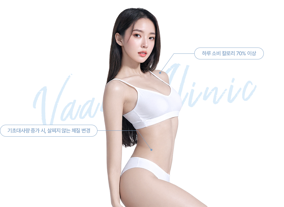 기초대사량이란? 이미지