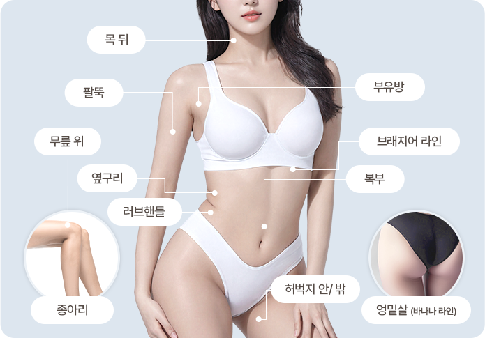 볼릿주사 신체 시술 부위