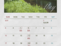반클리닉 5월 진료일정입니다.