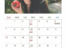반클리닉 6월 진료 일정입니다.